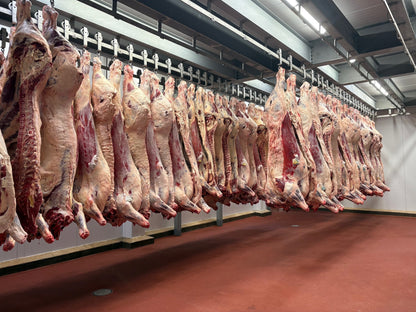 2 Bar C Premium Meats Full Beef Carcass- $5737.50